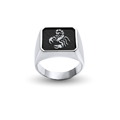 Custom Silver Square-Top Ring with Zodiac sign and Engraving